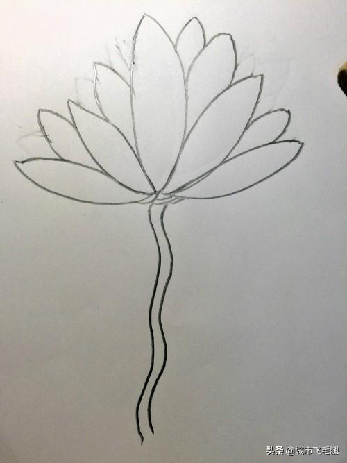 荷花简笔画