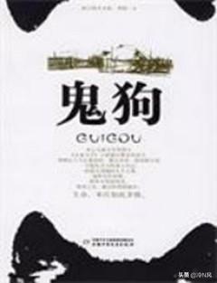 写狗的小说