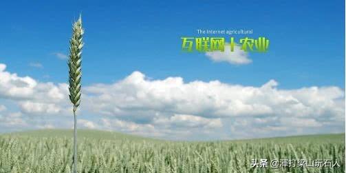 景观设计公司平台景观设计公司平台有哪些