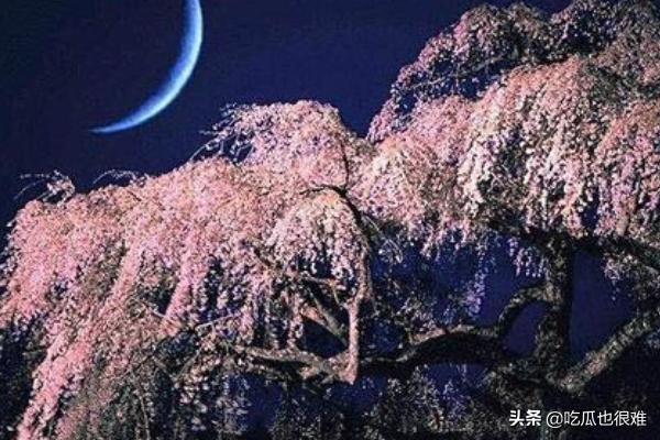 《你是人间四月天》原文（徐志摩《陌上花开》）