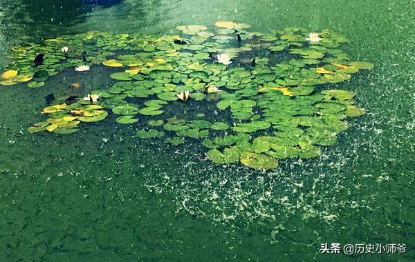 约客原文及翻译(诗句“黄梅时节家家雨，青草池塘处处蛙”的意思及全文赏析)