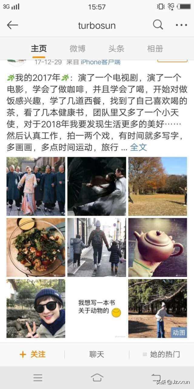 明星寵物貓?明星寵物貓的名字叫什么!