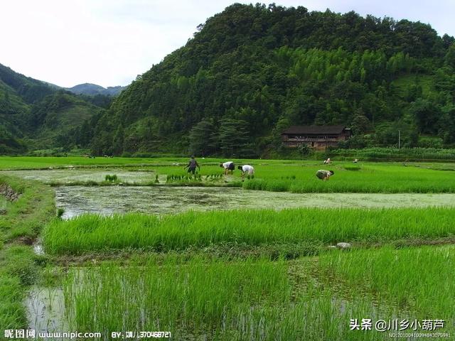 [乡村旅游景观设计网]旅游乡村该如何规划？