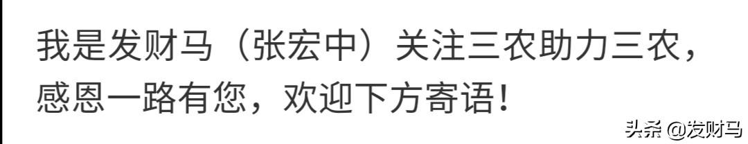 有没有饲料厂家找养殖户合作养殖-有没有饲料厂家找养殖户合作养殖的