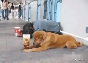 该如何快速赚钱呢