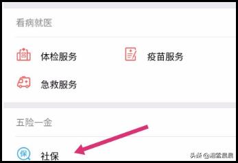 微信怎么查询社保交了几年了，微信怎么查询社保交了几年了 支付宝