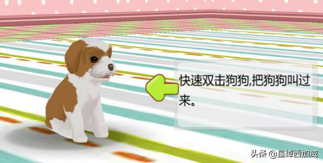 心动小狗结婚攻略 心动小狗结婚攻略免费阅读  第3张