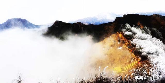 周口平湖旅游景点大全， 周口平湖旅游景点大全图片