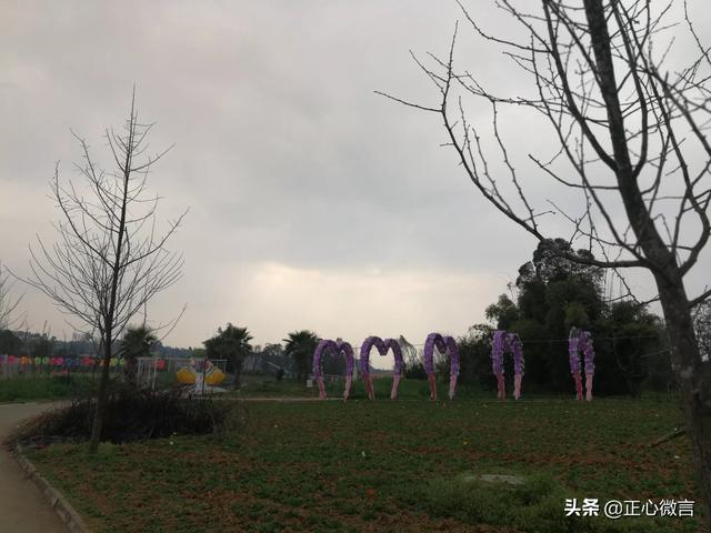 人生没目标怎么办(图3)