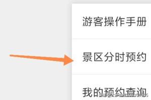 景点游玩怎么预约 国外的-景点游玩怎么预约 国外的地方