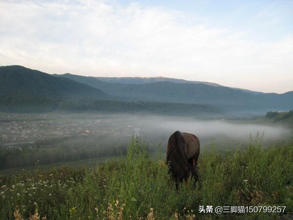 我的童话世界（编写童话故事的要求？）