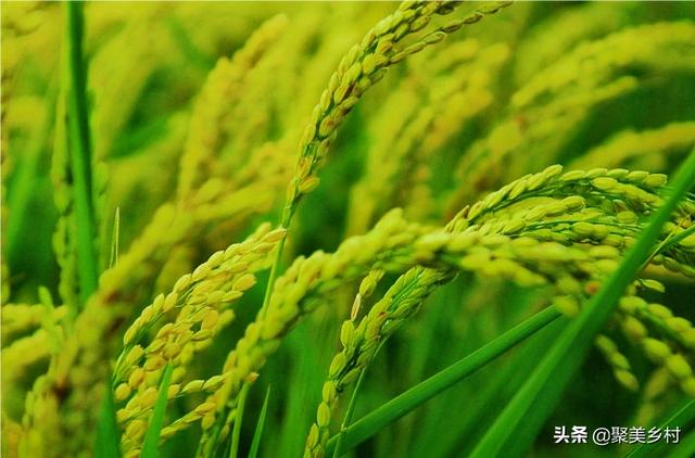 网上办税新体验：安徽省税务局网站让您足不出户享受便捷服务！，