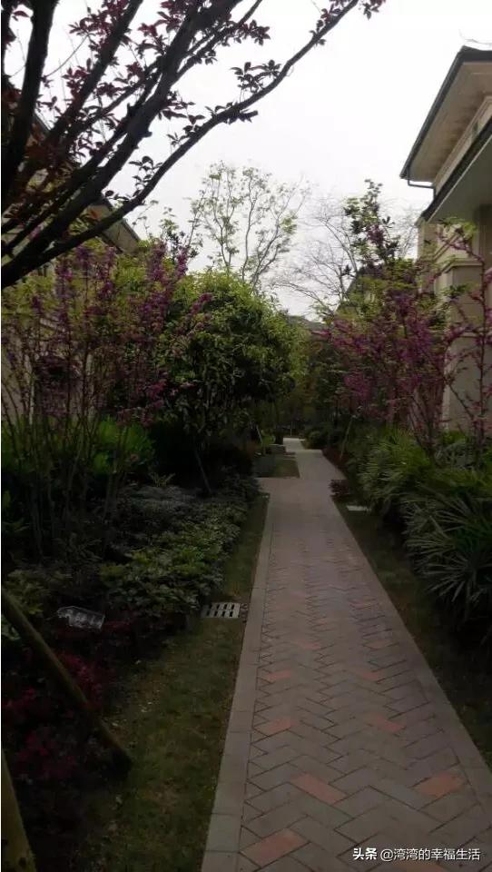 重庆老小区哪个环境好些