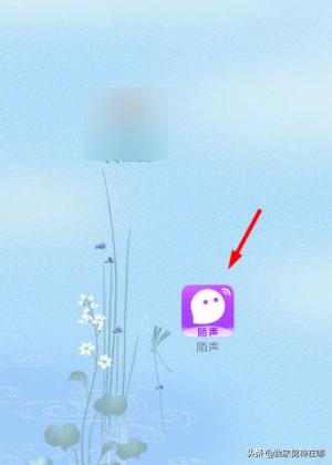app开发报价方案