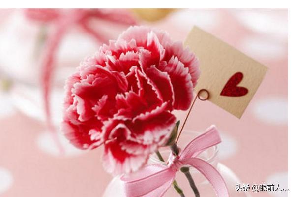 给老师送什么花比较合适