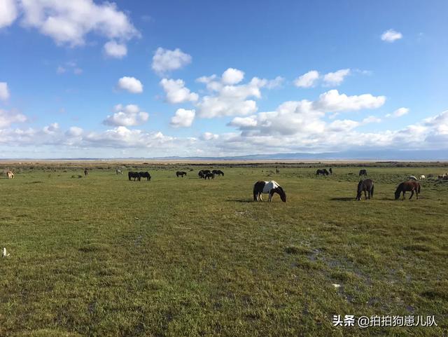 新疆北疆旅游景点大全， 