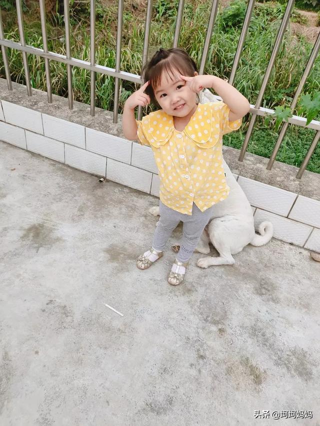 寵物與嬰兒?寵物與嬰兒故事!