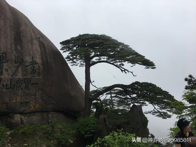 一个人跟团旅游会尴尬吗