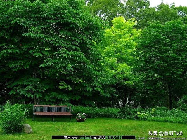 高中身体不好怎么改善(图3)
