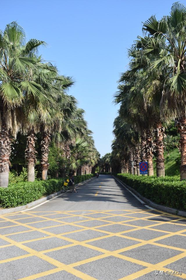 适合老婆去的旅游景点大全， 适合老婆去的旅游景点大全推荐