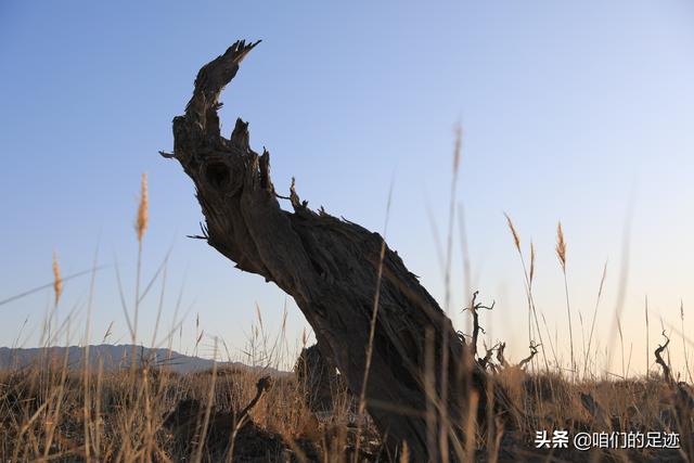 奇台旅游景点大全， 奇台旅游景点大全攻略
