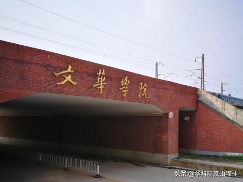 相关图片3