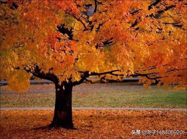 宝鸡秋天旅游景点大全， 宝鸡秋天旅游景点大全图片
