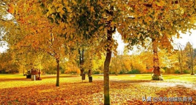 十月旅游攻略必去景点(图14)