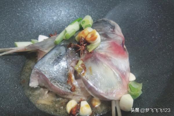 胖头鱼-胖头鱼图片