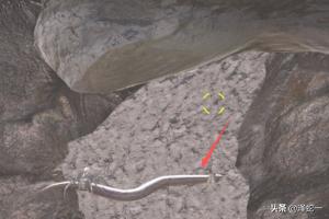 泰坦巨蟒怎么驯服（泰坦巨蟒驯服手机版免费下载）