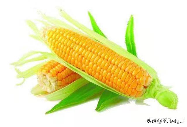 长垣职业中等专业学校有什么专业可选 河南会发生地震吗？