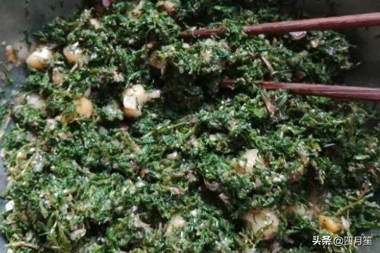季菜 饺季菜饺子的做法(图3)