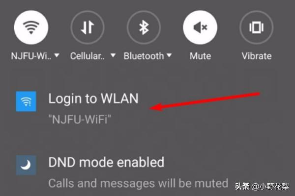 为什么校园网络连接不上？：校园网连不上