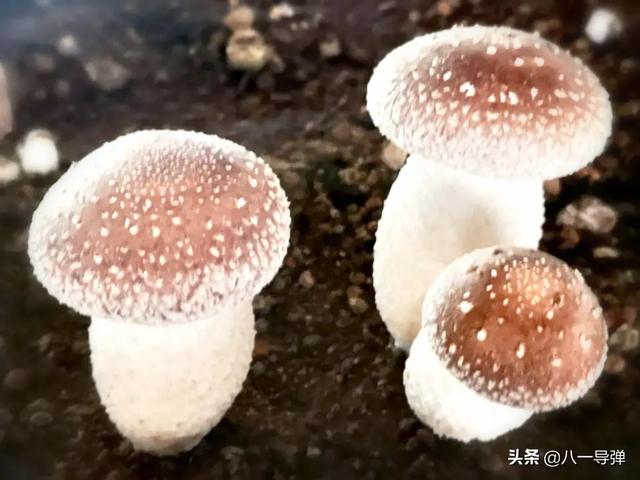 天津摄影学院怎么样