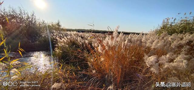 剪影效果剪影效果的照片怎么拍