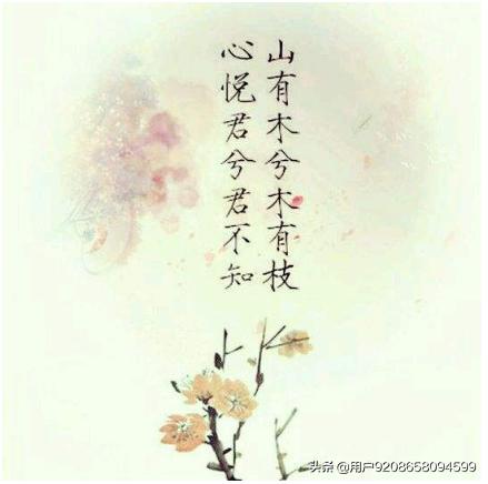 昨夜星辰恰似你什么意思（昨夜星辰恰似你什么意思啊）