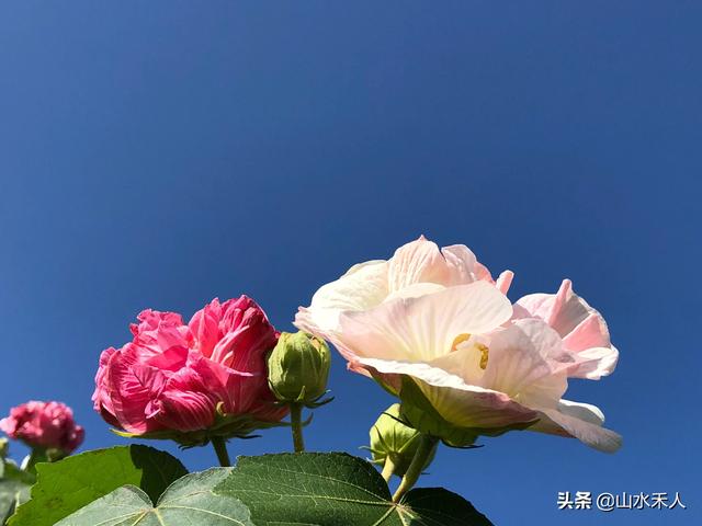 摄影穿着与背景如何搭配(图14)