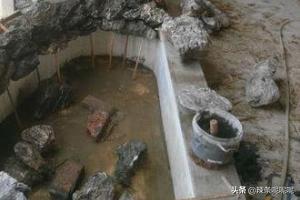庭院水池布局？：庭院池塘景观设计