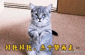 逃离高铁攻略12 逃离高铁攻略12关  第3张