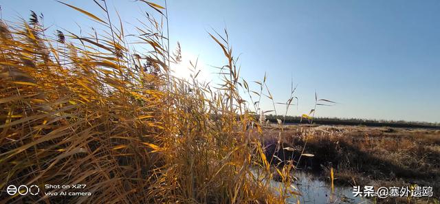 剪影效果剪影效果的照片怎么拍