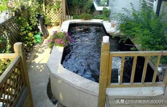 池塘植物的形状怎么写？：小池塘植物景观设计