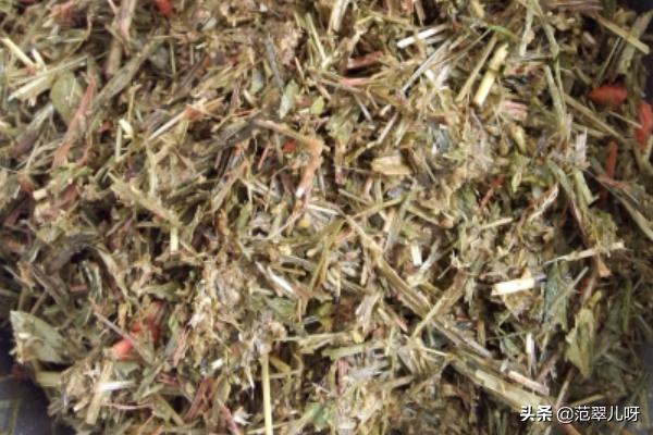 如何给荷兰猪兔子宠物做草饼的制作方法自制草饼,第7张