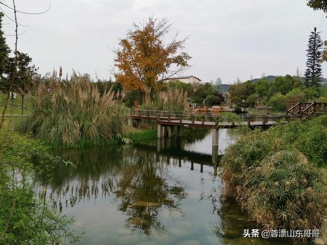 龙泉小镇旅游攻略路线， 龙泉小镇旅游攻略路线图