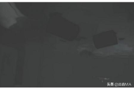 inside水底攻略 inside 水底怎么过  第3张