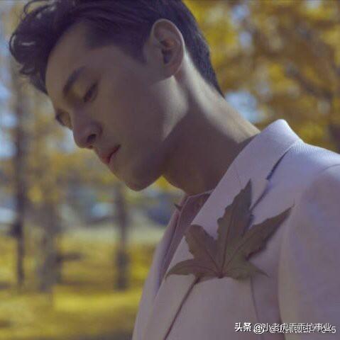 从唐人影视开始_影视从唐人街探案开始