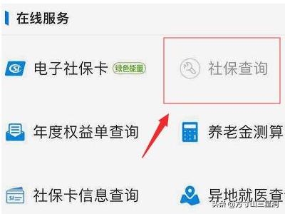 个人医疗保险查询个人账户，个人医疗保险查询个人账户缴费明细查询