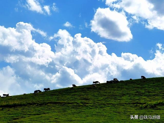 到青海自驾游路线，新疆到青海自驾游路线
