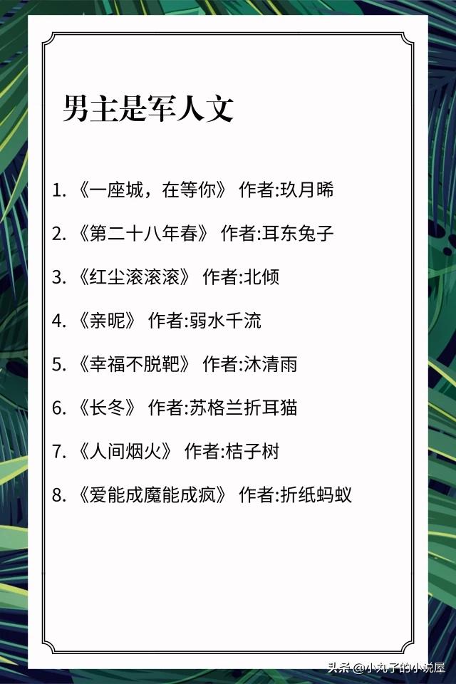 哪位好心人能推荐几本男主是军人或警察的言情小说