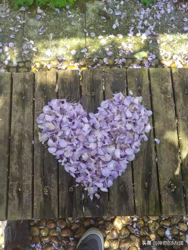 女人叫我哥哥什么意思(图1)