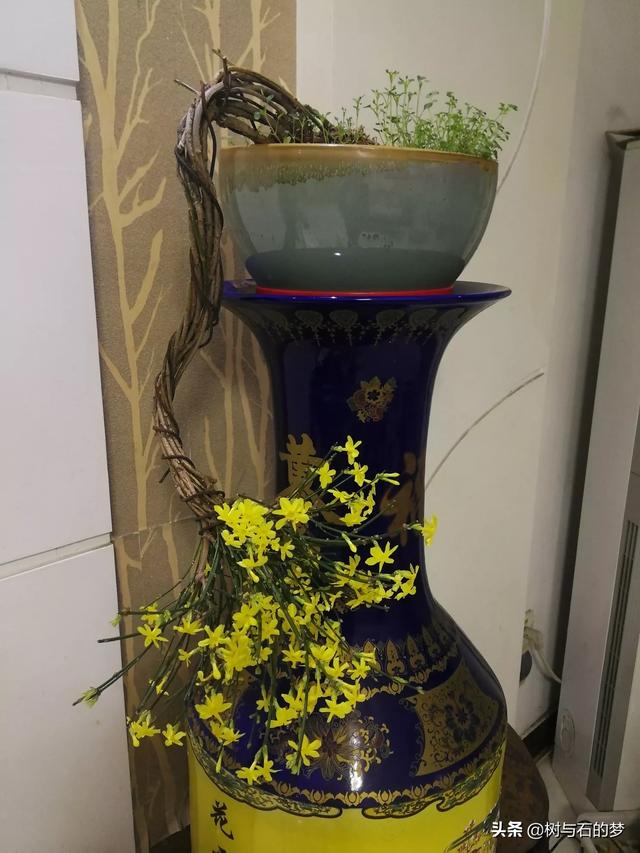 黄色包如何搭配衣服冬季(图4)